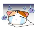 😿