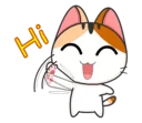 😹