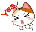 😹