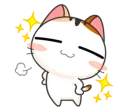 😼