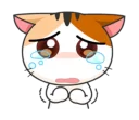 😿