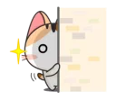 😾