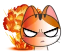 😾