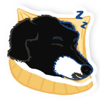 😴
