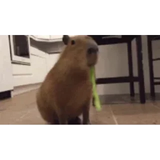 🥬