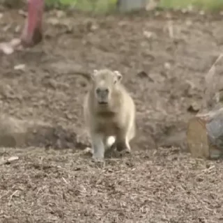 😱