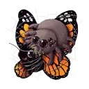🐛