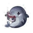 🐬