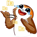 😂