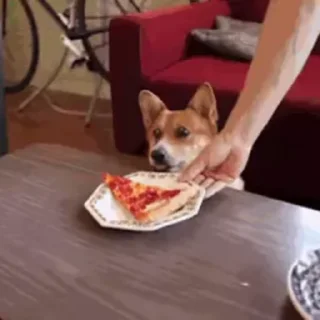 🍕