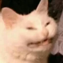 😩