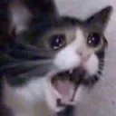 😧