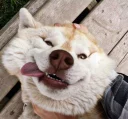 😜
