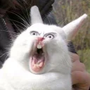 😵