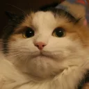 😐