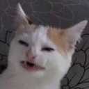 😦