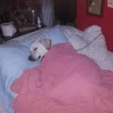 😴