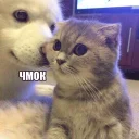 😏