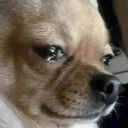 😭