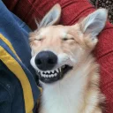 😁