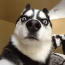 😳