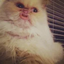 😙