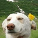 😌