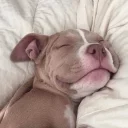 😴