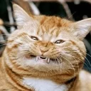 😁
