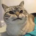 😝