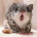 😱
