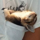 😴