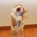 🎤