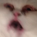 😫