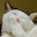 😄