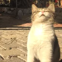 ☺️