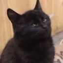 😑