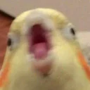😮