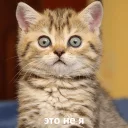 😳
