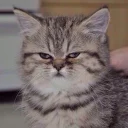 😑