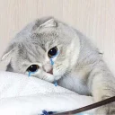 ☹