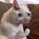 😥