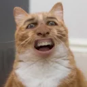 😮
