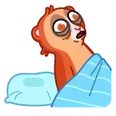 😴