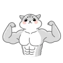 💪