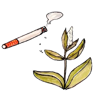 🥀