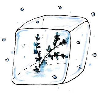 🥶