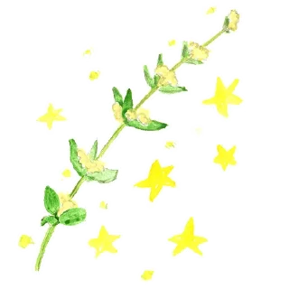 🌱
