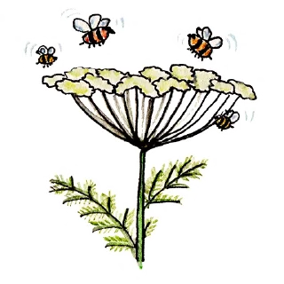 🌷