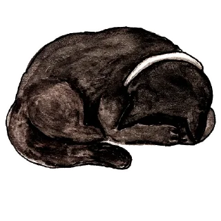 😴